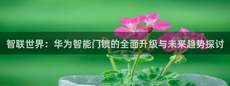 开丰娱乐平台地址在哪里：智联世界：华为智能门锁的全面升级与未