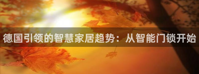 开丰娱乐寸67五壹叁八：德国引领的智慧家居趋势：从智能门锁开