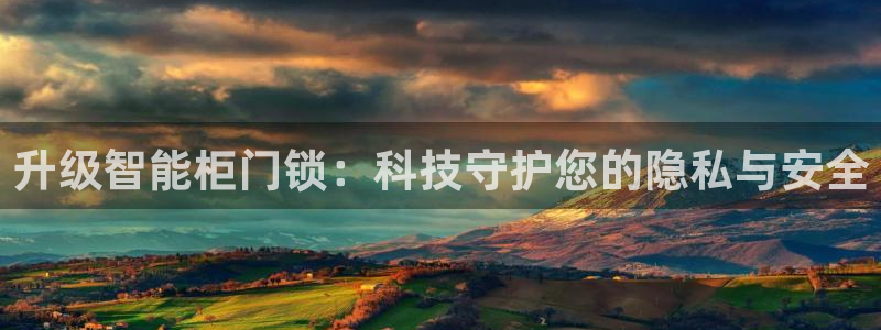 开丰娱乐主管家去判官333OO：升级智能柜门锁：科技守护您的