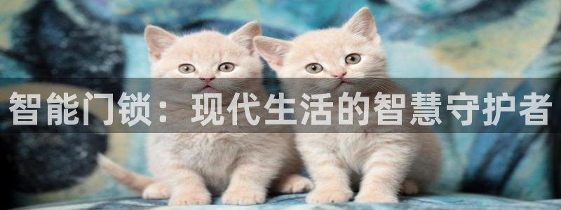 开丰娱乐线路：智能门锁：现代生活的智慧守护者