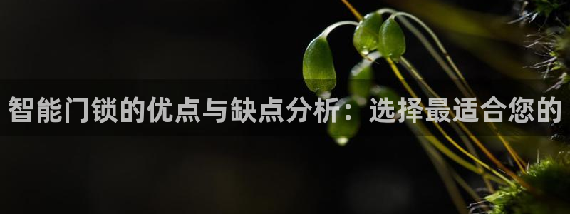 开丰娱乐平台地址：智能门锁的优点与缺点分析：选择最适合您的