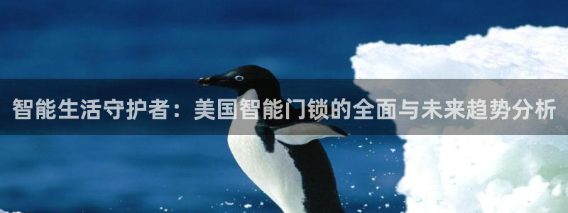 开丰娱乐天富娱乐：智能生活守护者：美国智能门锁的全面与未来趋