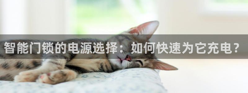 开丰娱乐：智能门锁的电源选择：如何快速为它充电？