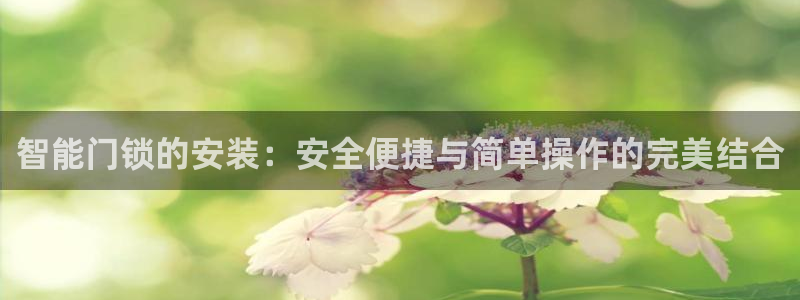 开丰娱乐平台注册：智能门锁的安装：安全便捷与简单操作的完美结