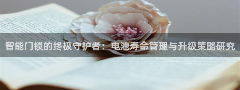开丰娱乐官网