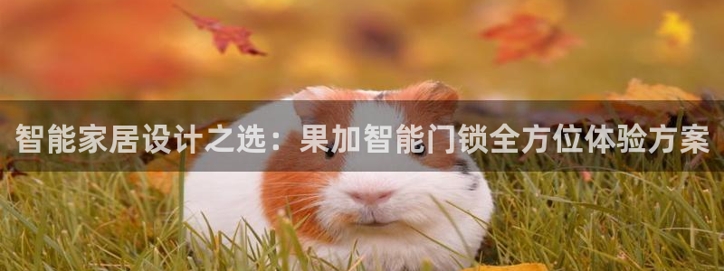 开丰娱乐除7O777：智能家居设计之选：果加智能门锁全方位体