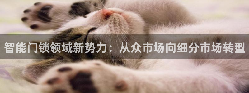 开丰娱乐平台注册时间