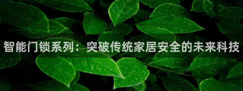 开丰娱乐注册登录：智能门锁系列：突破传统家居安全的未来科技
