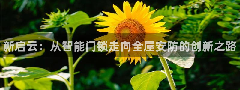 开丰娱乐主管家去判官333OO
