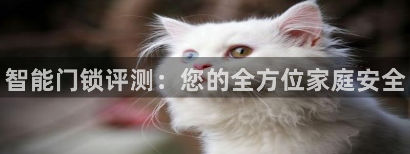 开丰娱乐地址