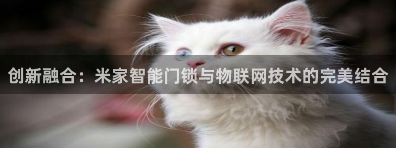 开丰娱乐app