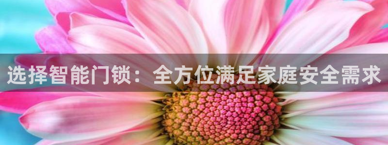 开丰娱乐后