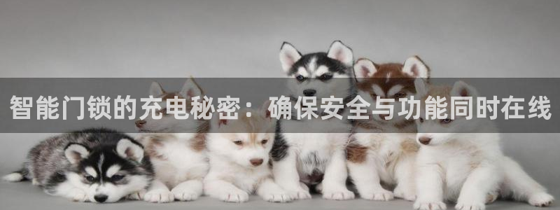 开丰娱乐下