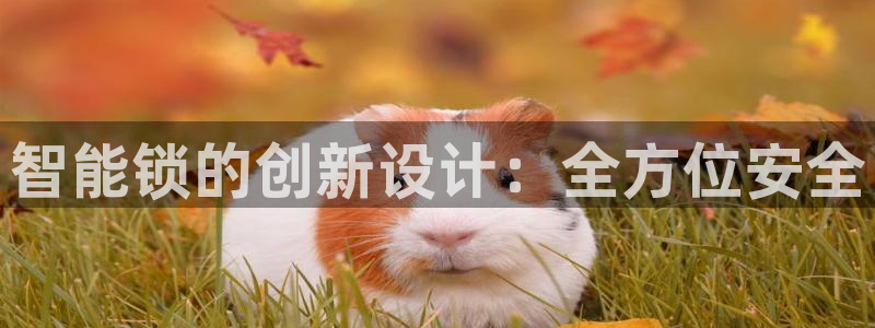 开丰娱乐天7O667：智能锁的创新设计：全方位安全