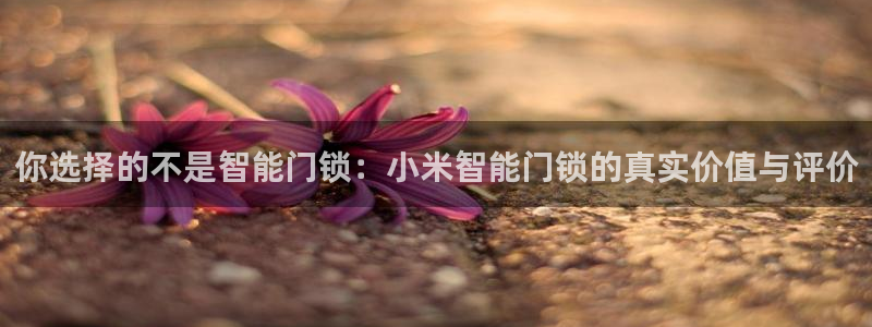 开丰娱乐联系q徽22212：你选择的不是智能门锁：小米智能门