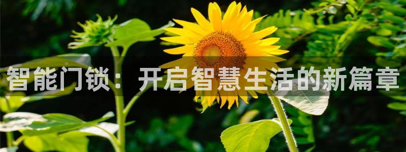 开丰娱乐平台注册地址：智能门锁：开启智慧生活的新篇章