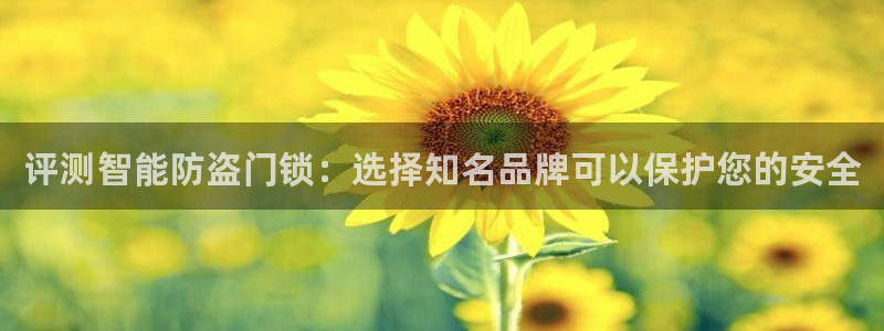 如何注册开丰娱乐账号：评测智能防盗门锁：选择知名品牌可以保护