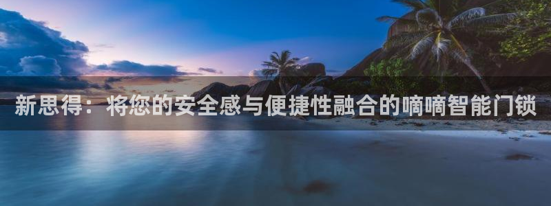 开丰娱乐山67五壹叁八：新思得：将您的安全感与便捷性融合的嘀