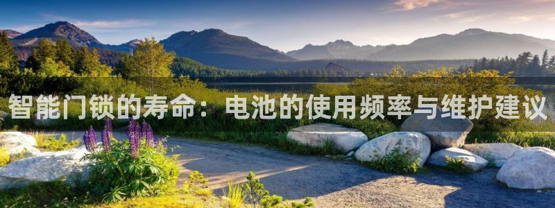 开丰娱乐山67五壹叁八：智能门锁的寿命：电池的使用频率与维护
