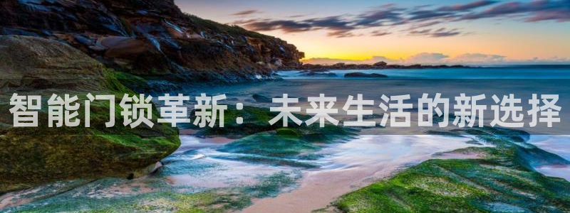 开丰娱乐手机app：智能门锁革新：未来生活的新选择