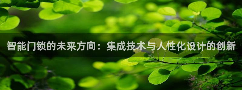 开丰娱乐月7O667：智能门锁的未来方向：集成技术与人性化设