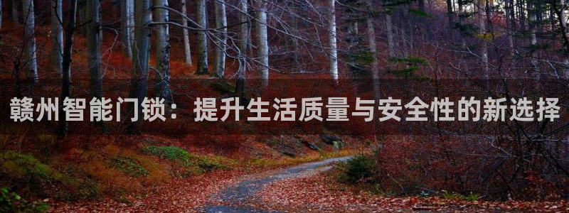 开丰娱乐咋7O777：赣州智能门锁：提升生活质量与安全性的新