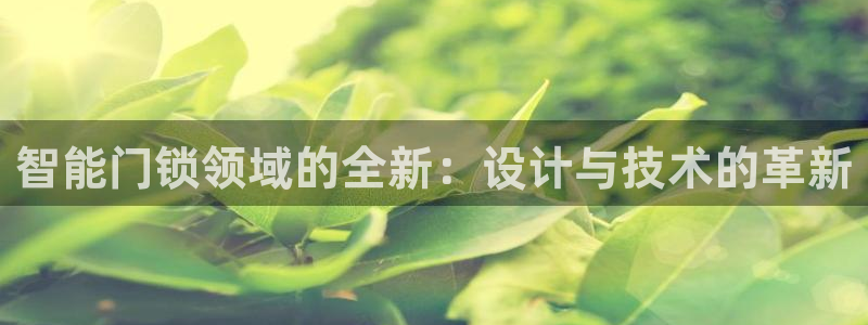 开丰娱乐线路：智能门锁领域的全新：设计与技术的革新