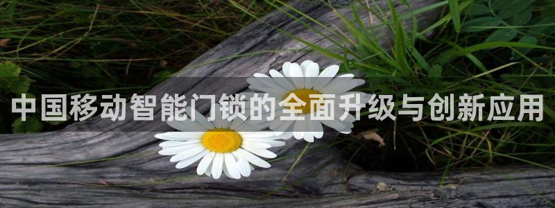 开丰娱乐天：中国移动智能门锁的全面升级与创新应用