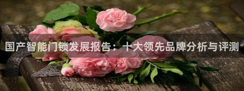 开丰娱乐平台注册地址：国产智能门锁发展报告：十大领先品牌分析