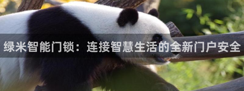 开丰娱乐2登录：绿米智能门锁：连接智慧生活的全新门户安全