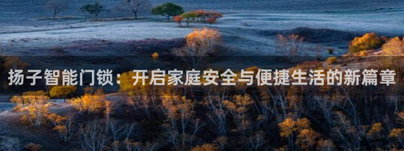 开丰娱乐主管家去判官333OO：扬子智能门锁：开启家庭安全与