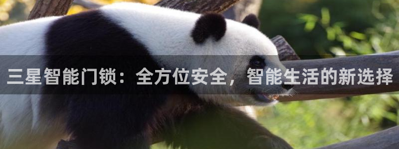 开丰娱乐上7O667：三星智能门锁：全方位安全，智能生活的新