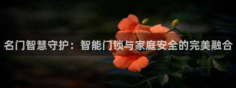 开丰娱乐平台地址在哪里：名门智慧守护：智能门锁与家庭安全的完