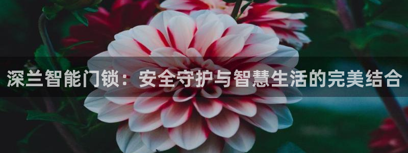 开丰娱乐登入地址：深兰智能门锁：安全守护与智慧生活的完美结合