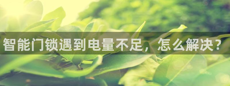 开丰娱乐登入：智能门锁遇到电量不足，怎么解决？