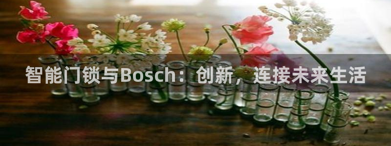 开丰娱乐登录：智能门锁与Bosch：创新，连接未来生活