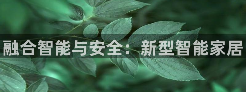 开丰娱乐天富娱乐：融合智能与安全：新型智能家居