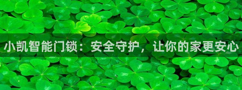 开丰娱乐开户：小凯智能门锁：安全守护，让你的家更安心