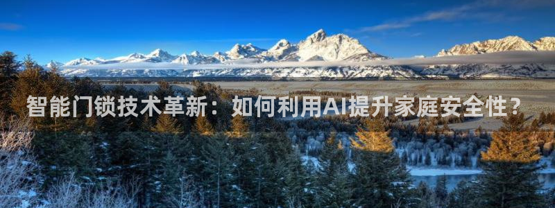 开丰娱乐登录网址：智能门锁技术革新：如何利用AI提升家庭安全