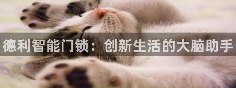 开丰娱乐乙833_43：德利智能门锁：创新生活的大脑助手