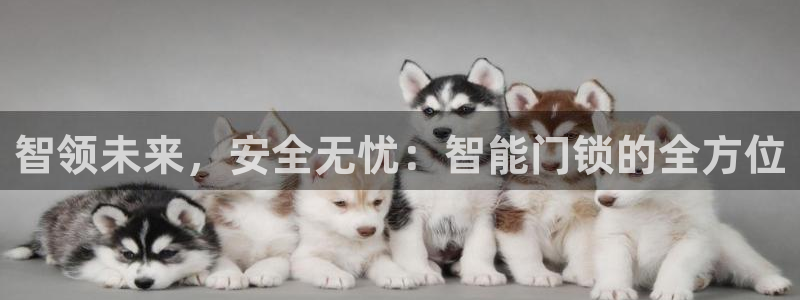 开丰娱乐月7O667：智领未来，安全无忧：智能门锁的全方位