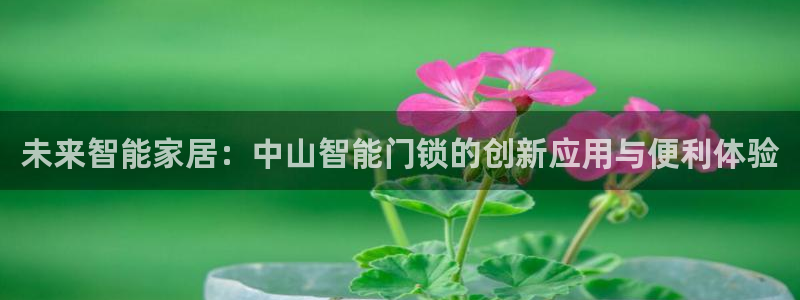 开丰娱乐后7O667：未来智能家居：中山智能门锁的创新应用与