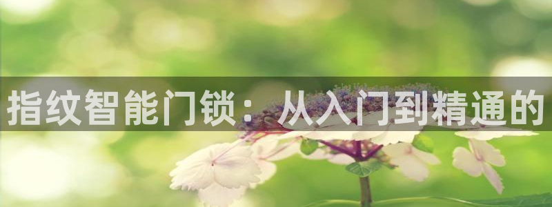 开丰娱乐登入：指纹智能门锁：从入门到精通的