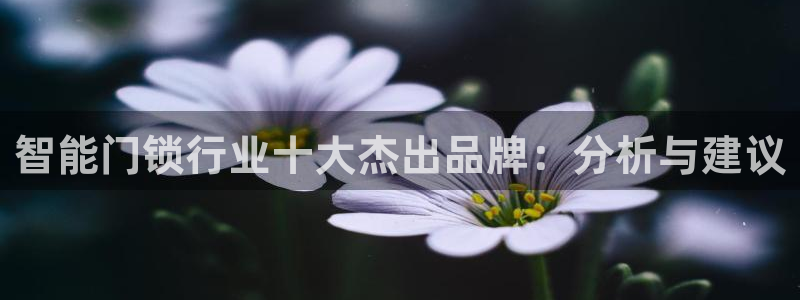 开丰娱乐后：智能门锁行业十大杰出品牌：分析与建议