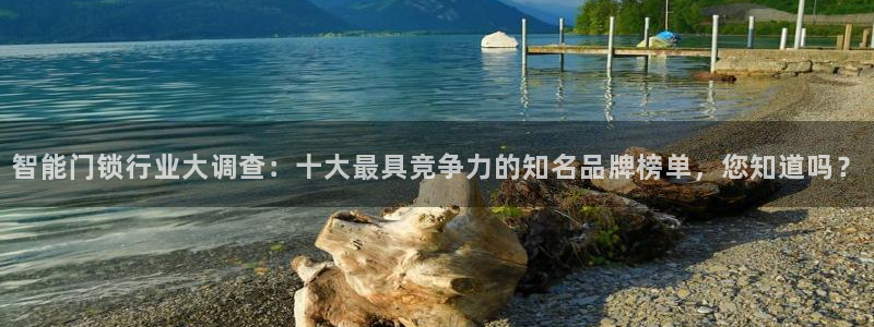 开丰娱乐主管家去判官333OO：智能门锁行业大调查：十大最具