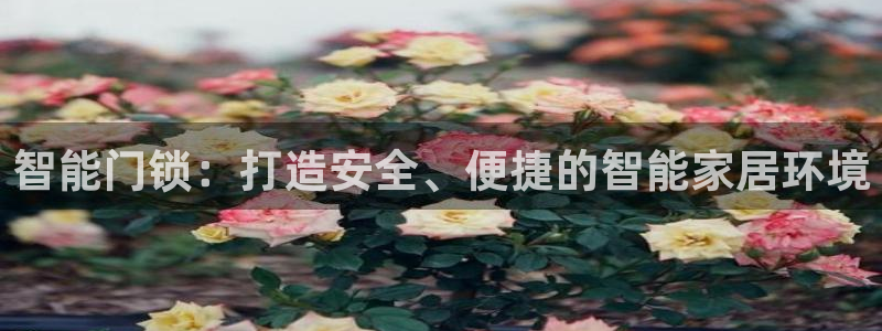 开丰娱乐姜333OO：智能门锁：打造安全、便捷的智能家居环境