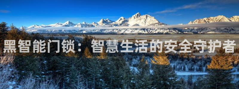 下载开丰娱乐：黑智能门锁：智慧生活的安全守护者