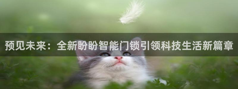 开丰娱乐注册：预见未来：全新盼盼智能门锁引领科技生活新篇章
