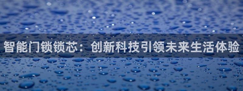 开丰娱乐右7O667：智能门锁锁芯：创新科技引领未来生活体验