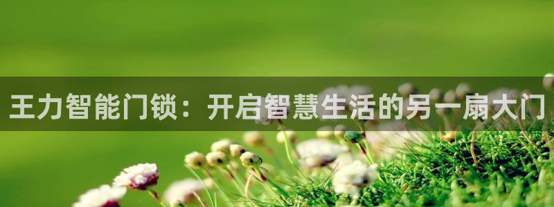 开丰娱乐后7O667：王力智能门锁：开启智慧生活的另一扇大门